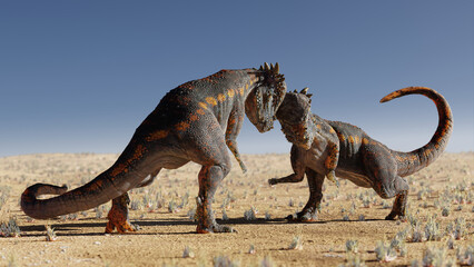 Pachycephalosaurus, dinosaurs head-butting each other in a desert landscape © dottedyeti