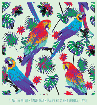 Seamless pattern Hand drawn Macaw birds and tropical leaves