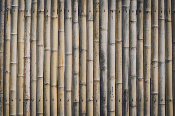 Background and texture of bamboo wall or fence