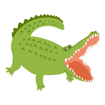 Cute crocodile in cartoon hand drawn style. Vector illustration of funny alligator predator, animal character isolated on white background