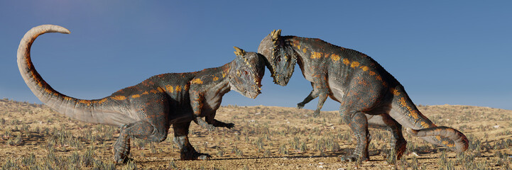 Pachycephalosaurus, dinosaurs head-butting each other in a savanna landscape - obrazy, fototapety, plakaty