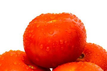 Tomatoes isolated on white background