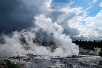 Geyser Pohutu endormi de Rotorua
