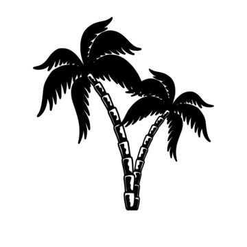 Illustration of palm in tattoo style. Summer theme. Design element for poster, card, banner, emblem, sign. Vector illustration