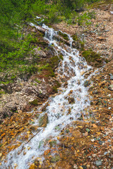 Vertical landscape with beautiful  waterfall and stream in forest among rich vegetation. Atmospheric woody scenery with fallen tree trunk in mountain creek. Spring water among wild plants and mosses.