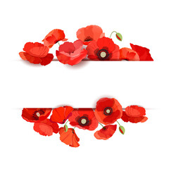 Set of banners with red poppies on a white background. Template design for greeting and invitation cards, sales, decorations. Vector illustration - obrazy, fototapety, plakaty
