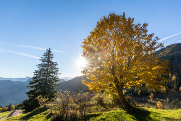 Germany, Bavaria, Sun shining over autumn painted trees in Chiemgau Alps