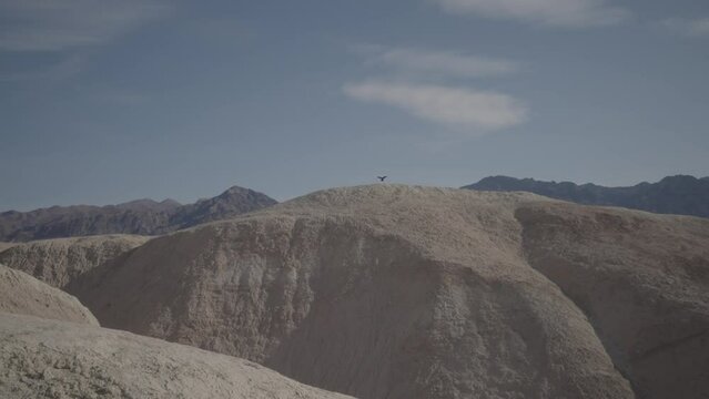 Falcon landing on top of canyon in Death Valley.