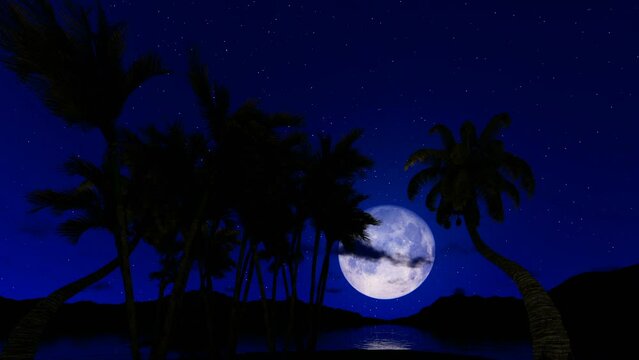 Romantic scene with full moon reflecting on water surface against starry sky and palm trees, hd