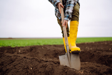 Woman wearing yellow boots digs soil with shovel. Agriculture, organic gardening, planting or...