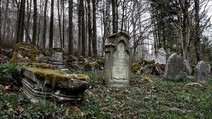 Old abanded jewish graveyard in a forest in Thuringia