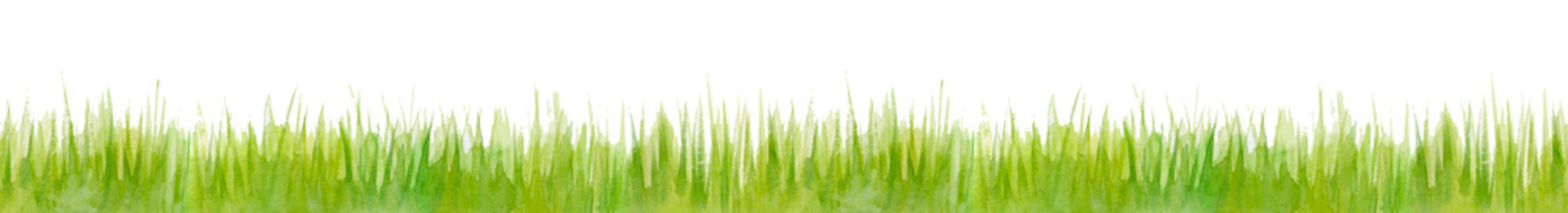 Watercolor grass. Nature spring or summer background. Vintage style