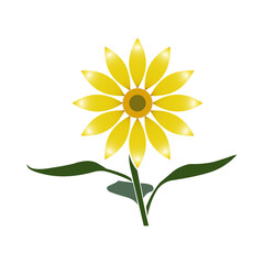 Sunflower flower with stem and three leaves, icon.