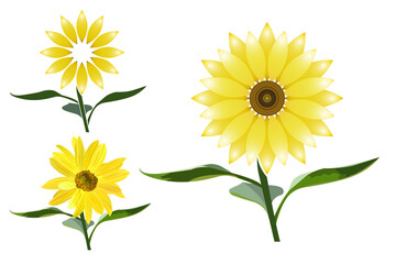 Variants of sunflower flowers with stem and leaves, icons.