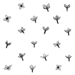 quacker ladies flower set illustration isolated on background