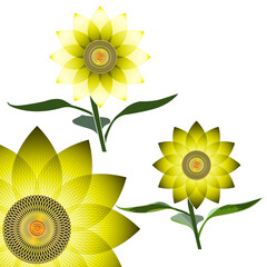 Variants of sunflower flowers with stem and leaves, icons