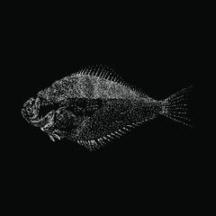 Halibut hand drawing vector illustration isolated on black background