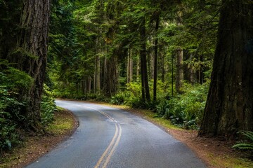 A long way down the road going to Whidbey Island, Washington