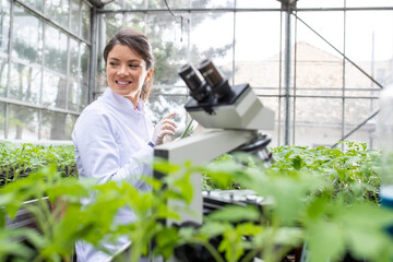 Woman agronomist with tablet and microscope in greenhouse - obrazy, fototapety, plakaty