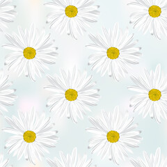 The chamomile flower. Seamless floral texture white of Daisy flower on abstract grey background,geometric pattern
