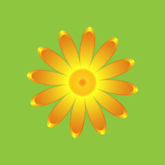 The chamomile flower. Single flower orange calendula made of simple geometric shapes on a green background, icon