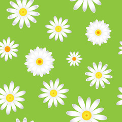 The chamomile flowers.  Floral pattern white Daisy flower on a green background, seamless texture 