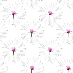 Chamomile flowers, blossoming inflorescence in profile. White Daisy petals, flower arrangement on white background, seamless texture, illustration