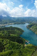 新緑の森と湖の縦パノラマ