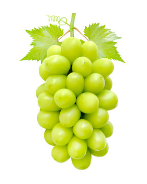 Cutout beautiful bunch of fresh green Shine Muscat grape with leaves isolated on white background