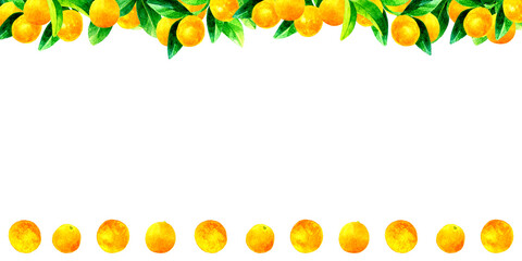 キンカン（金柑）の木の背景素材　フルーツ・果物の手描き水彩イラスト素材