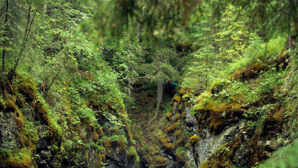 Man stands at cliff in woods. Stock footage. Top view of traveler stuck in gorge over cliff in forest. Mossy steep ravine in which traveler got stuck during forest hike
