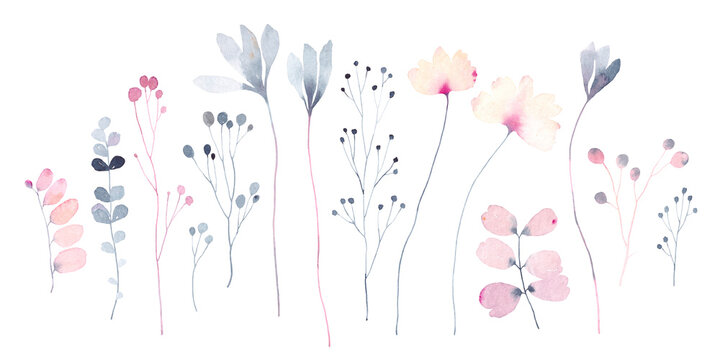 Watercolor set with abstract flowers, leaves and branches. Wildflowers. Floral collection isolated on white background.