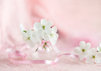 cherry blossoms in a small glass vase on a delicate pink knitted background 