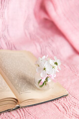 Open old book with white small flowers on a pink background