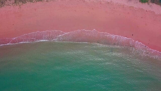 Aerial view of pink sand beach with deep blue sea color and white crashing wave in summer with copy space for travel and vacation concept