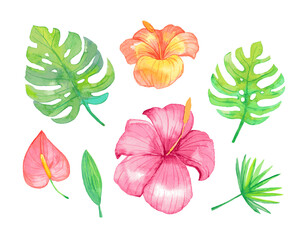 Colorful watercolor tropical flowers set