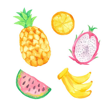 Colorful watercolor tropical fruits set