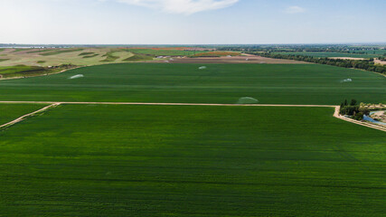 Obraz premium Aerial view of Guns Sprinkler Irrigation System Watering Wheat Field