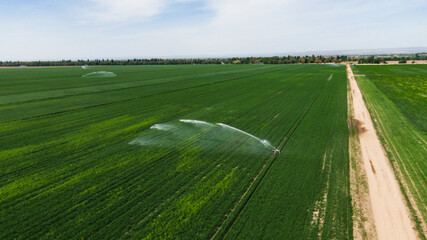 Aerial view of Guns Sprinkler Irrigation System Watering Wheat Field
