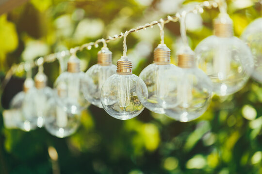 Decorative light bulbs in backyard during the day