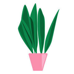 Houseplant with tall pink pot vector illustration