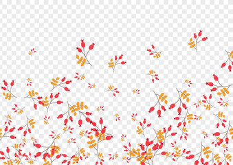 Red Herb Background Transparent Vector. Leaves Landscape Texture. Yellow Berries Drawn. Decoration Illustration. Foliage Fly.