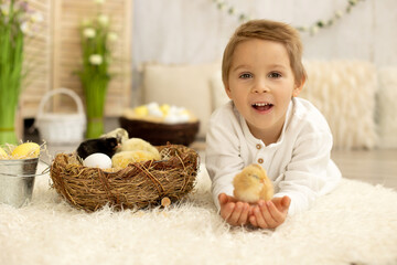 Cute child at home with little newborn chicks, enjoying, cute kid and animal friend in sunny room