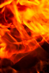 orange flame of fire while burning branches and firewood