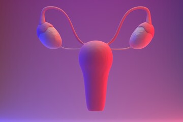 Internal genital female organs. uterus and ovaries. 3D render.