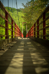 新緑と赤いつり橋