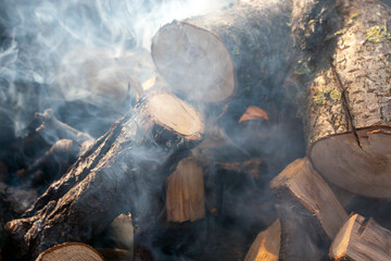 dry logs burning in the fire from tree trunks