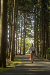 街路樹を歩く人