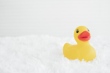 Portrait of yellow rubber duck with orange beak on white fluffy carpet. White background. Copy space