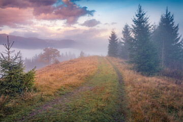 Naklejka na ściany i meble Calm autumn sunrise in Carpathian mountains. Foggy morning view of mountain valley. Wonderful landscape of countryside. Beauty of nature concept background.